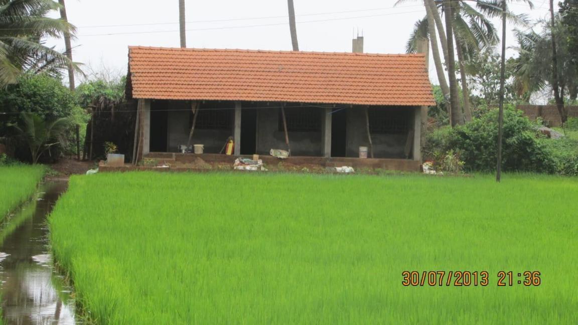 Ocean Sparrow Beach Stay โกการ์นา ภายนอก รูปภาพ