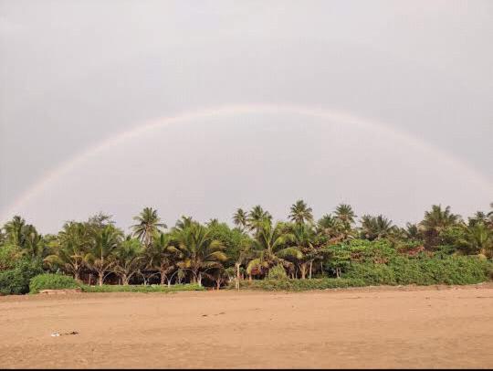 Ocean Sparrow Beach Stay โกการ์นา ห้อง รูปภาพ