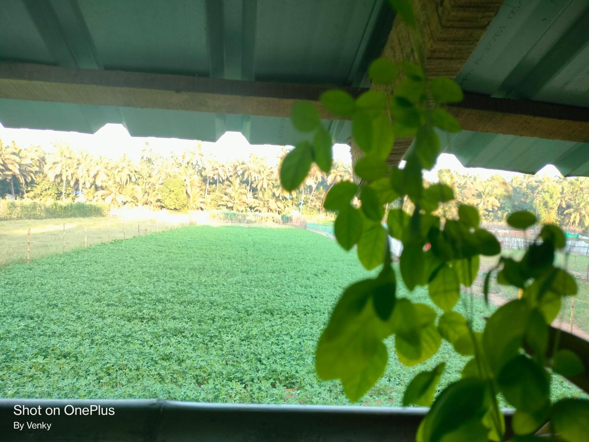 Ocean Sparrow Beach Stay โกการ์นา ห้อง รูปภาพ